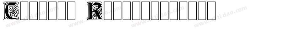 Carrick Regular字体转换